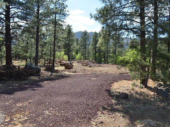 2nd image of 7308 Oakwood Pines Dr