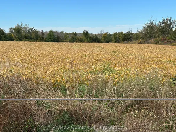 1807 Marysville Rd, Tyendinaga, ON K0K 2N0