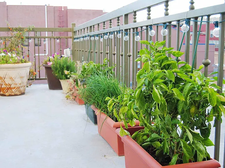 The Residences at Security National: Outdoor Community Patio