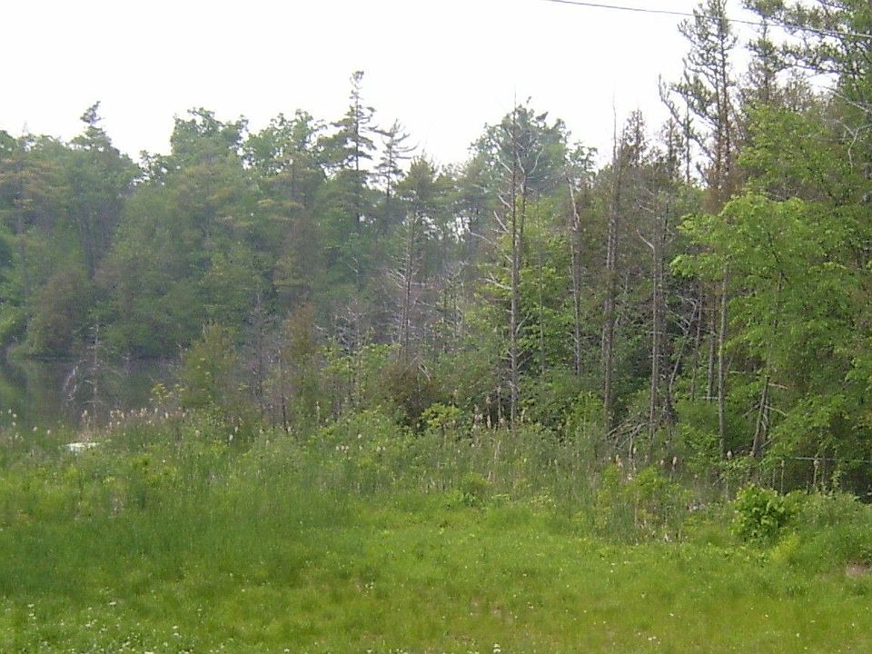 100 X 350 lakefront lot