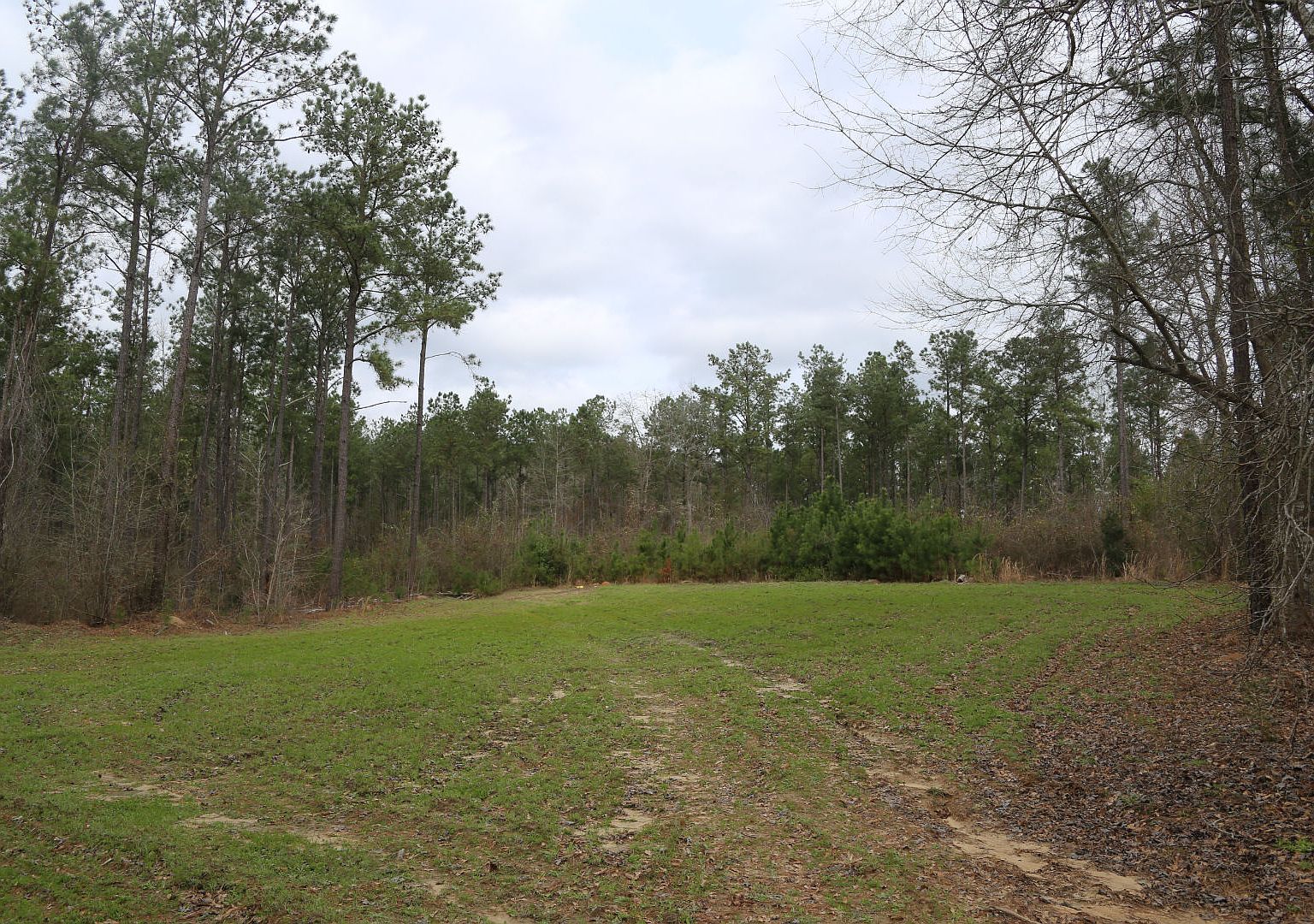 1450 River Rd, Lowndesboro, AL 36752 Zillow