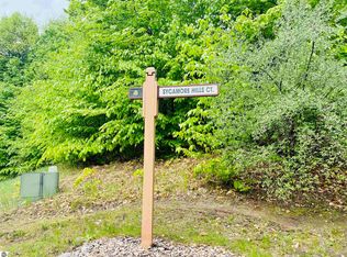 5714 Sycamore Hills Ct, Bellaire, MI 49615