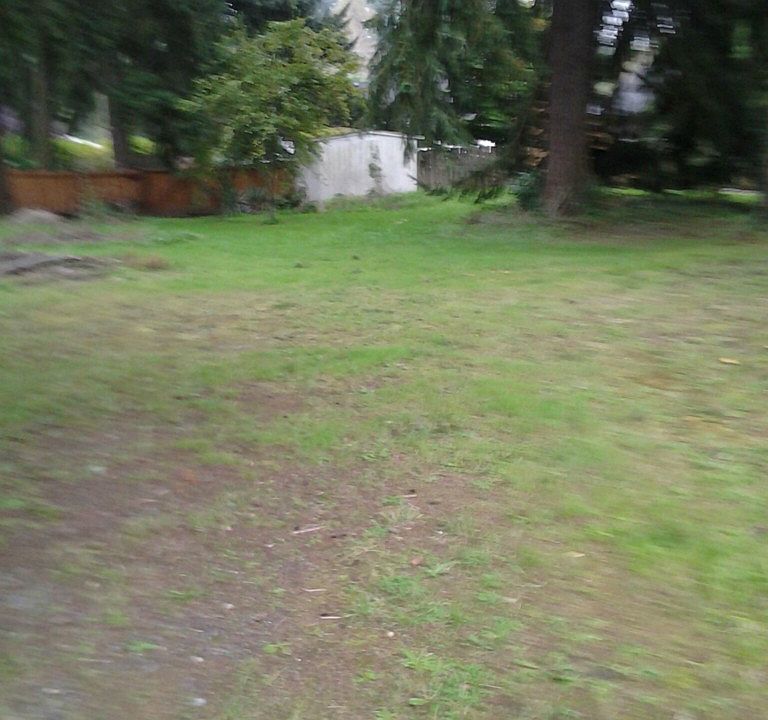 1st image of 37620 42nd Ave S