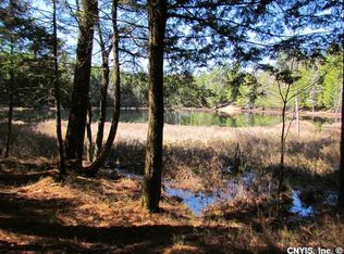 5723 Partridgeville Rd, Brantingham, NY 13312