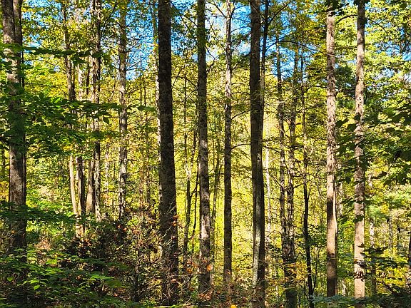 3rd image of Lot 15 Mountain Air Road