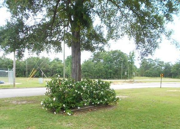 4th image of 701 Edgewood Dr