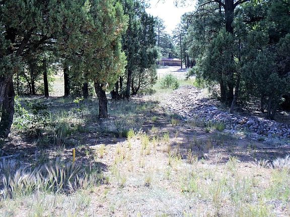 Lot View with Drainage