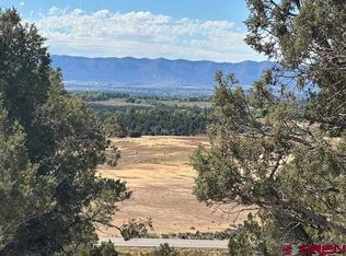 TBD Road V4, Dolores, CO 81323