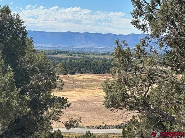 TBD Road V4, Dolores, CO 81323