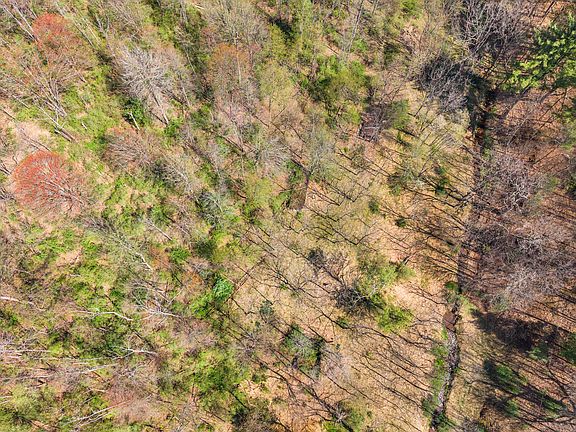 5th image of Dix Run Rd