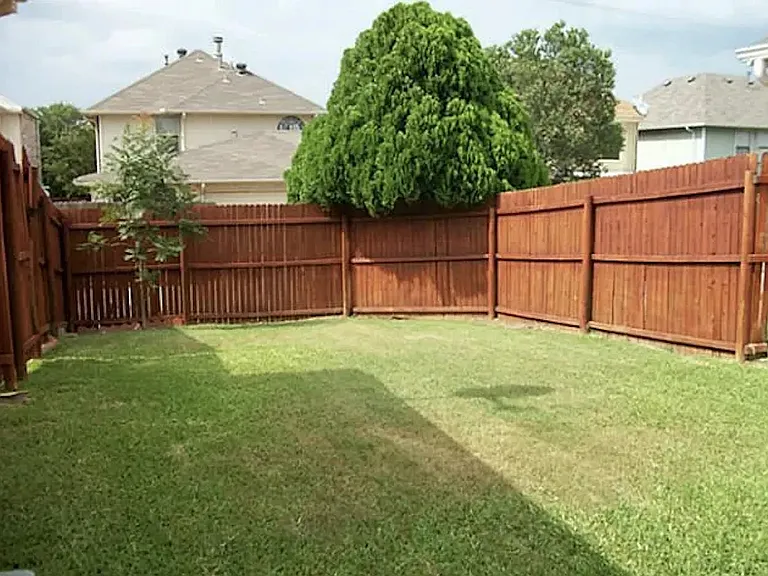 Backyard