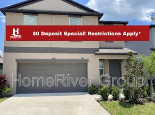 2102 Stellar Brilliance Way, Lutz, FL 33558