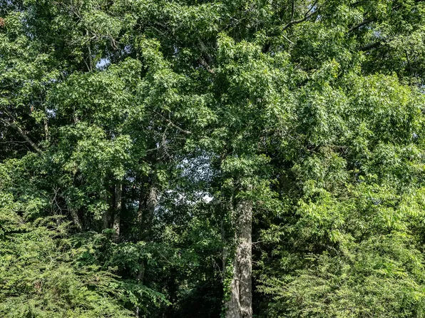 4850 Lunns Store Rd Lot 7, Chapel Hill, TN 37034