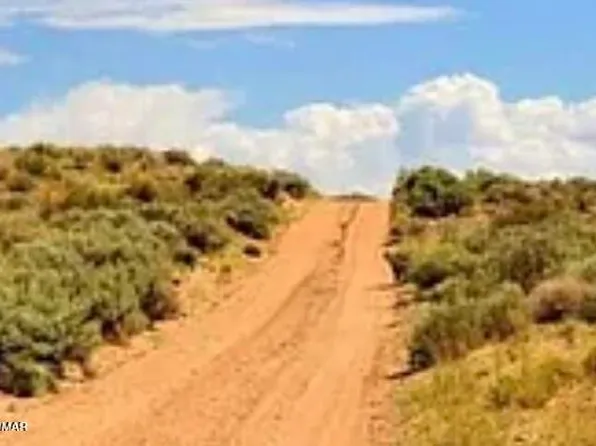 86 Bell Brand Rnch, Chambers, AZ 86502