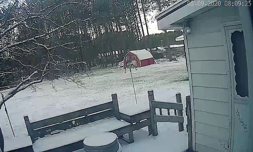 2nd image of 91 Connie Ln