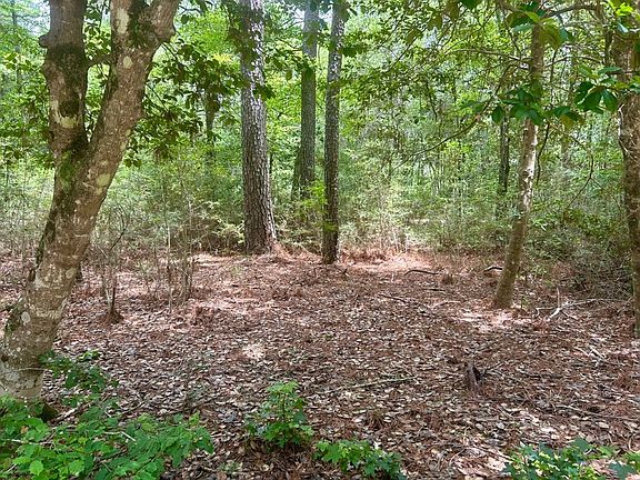 4th image of LOT 5 John Keely Rd