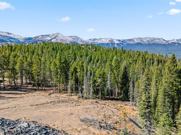 115 Sallie Barber Rd, Breckenridge, CO 80424