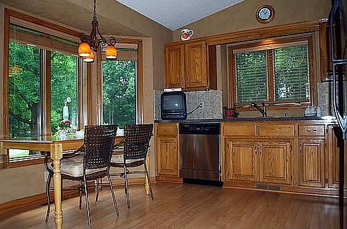 Super Updates in kitchen with views of nature