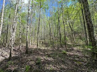 160 Beck Cove Rd, Bryson City, NC 28713