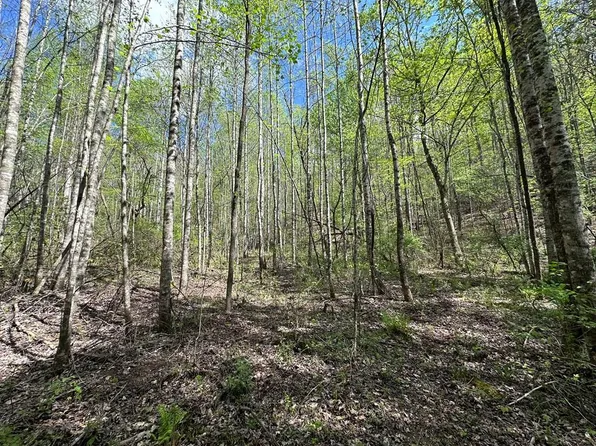 160 Beck Cove Rd, Bryson City, NC 28713