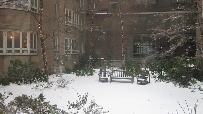 Rented by Corcoran | media 53