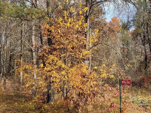 W8698 Lupine Ln, Camp Douglas, WI 54618