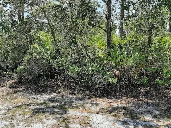 211 Camellia Dr Lot 19, Indian Lake Estates, FL 33855