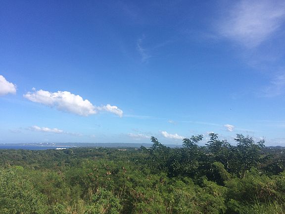 Tropical Paradise Vista