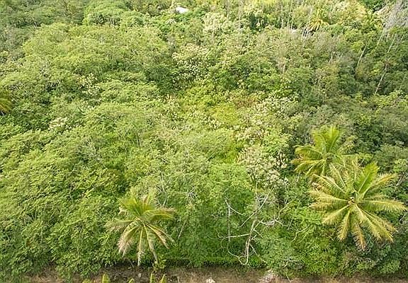 4th image of 13-3664 Kumakahi St Lot 44