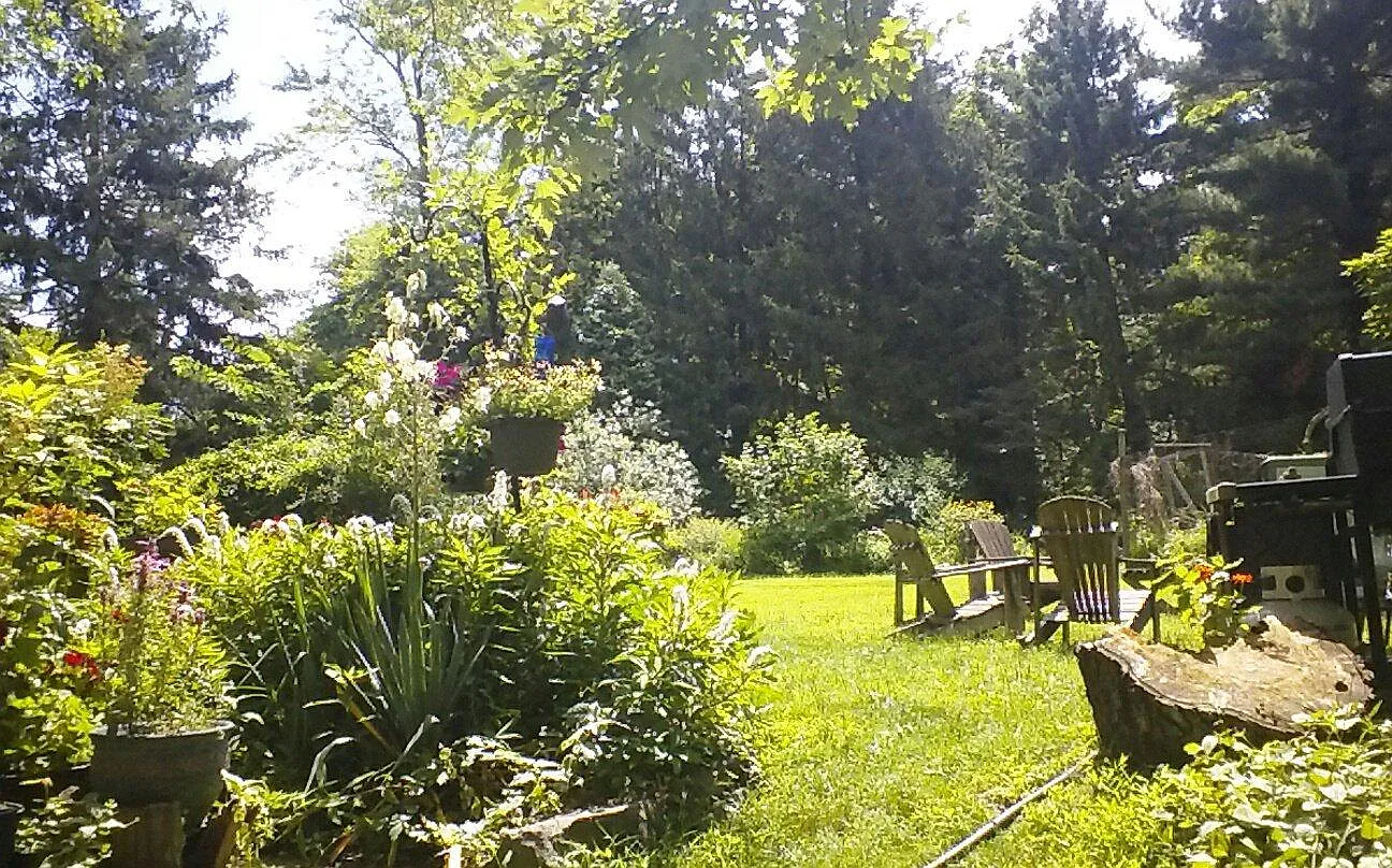 2 bed, 500 sqft, $1,600 — Photo 2