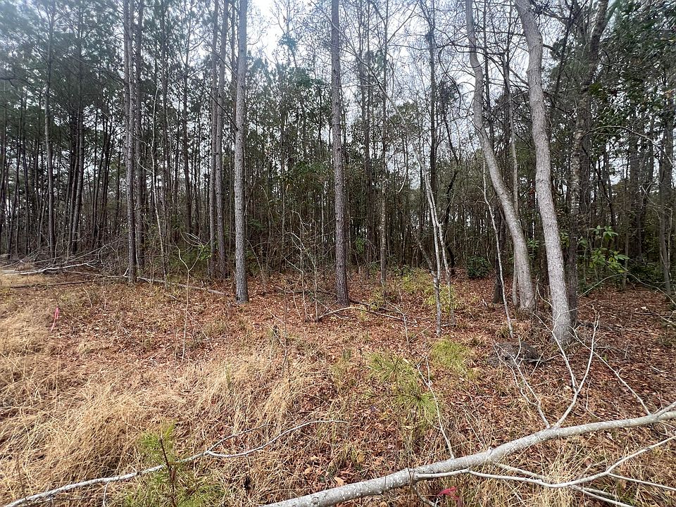 2nd image of 0 Hunters Ridge Ln