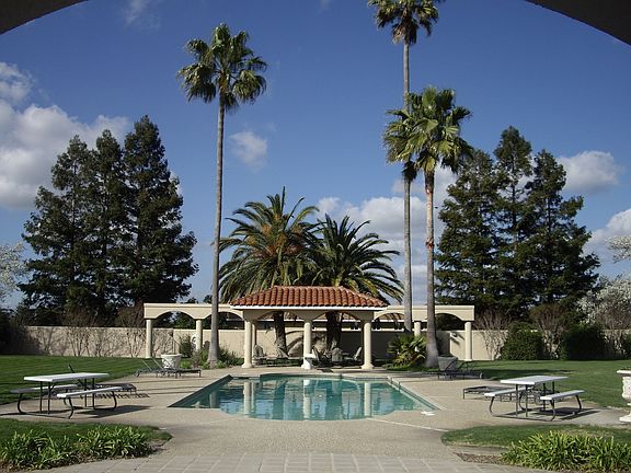 Partial Backyard