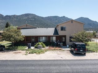213 S Court St, Buena Vista, CO 81211
