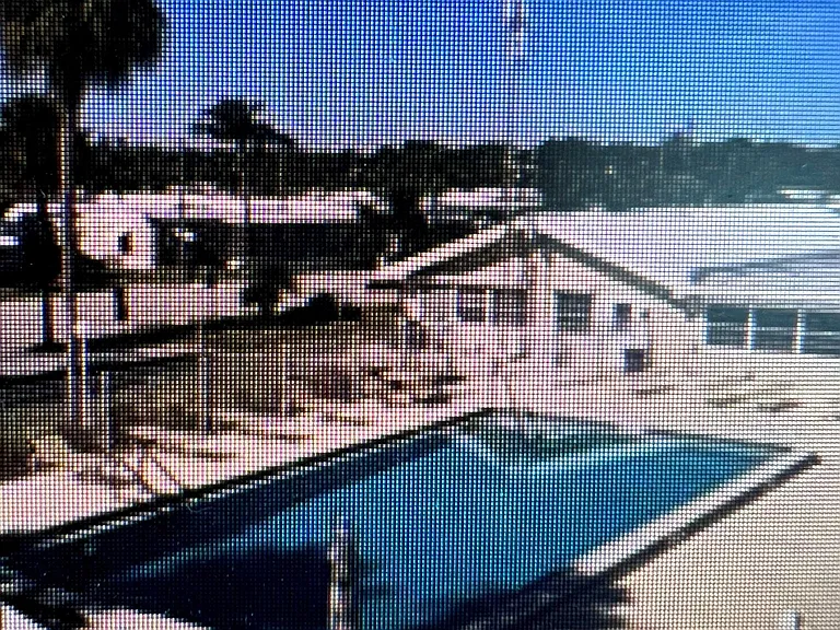 704 Palm Frond Ct — Photo 18