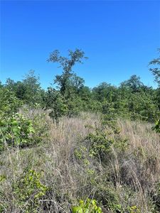 Horned Owl Rd, Valliant, OK, 74764