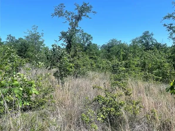 Horned Owl Rd, Valliant, OK 74764