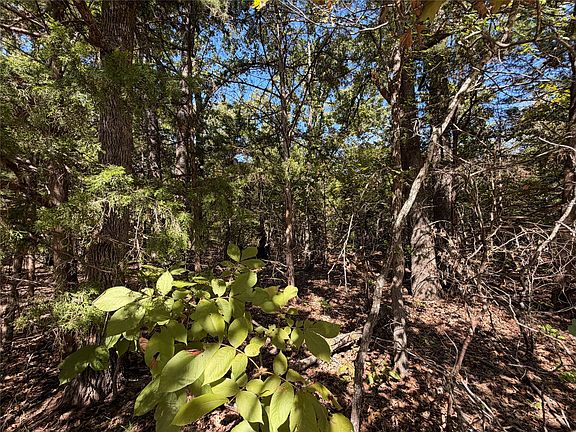3rd image of 34730 County Rd