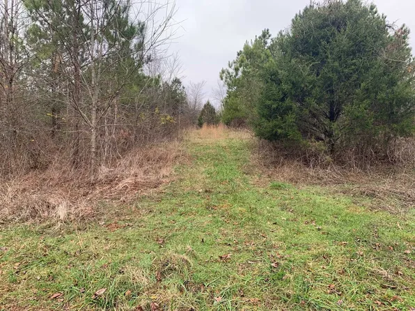 9 Sulphur Springs Rd, Selmer, TN 38375