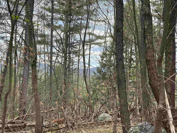0 Snell Road, Chester, VT 05143