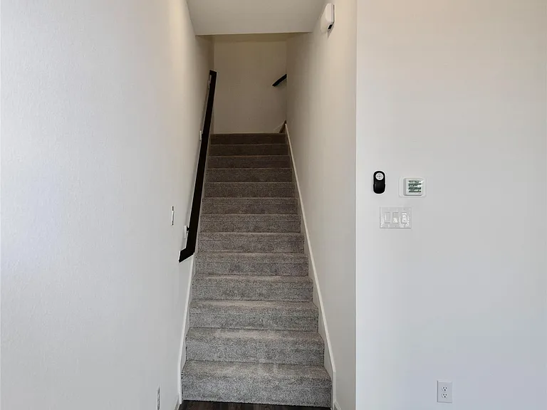 5427 Holly Haven Ct — Photo 9