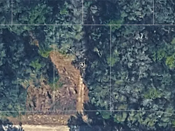 7969 N Addison Rd, Citrus Springs, FL 34434