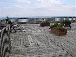 4th image of 2052 N Lincoln Park W APT 1301