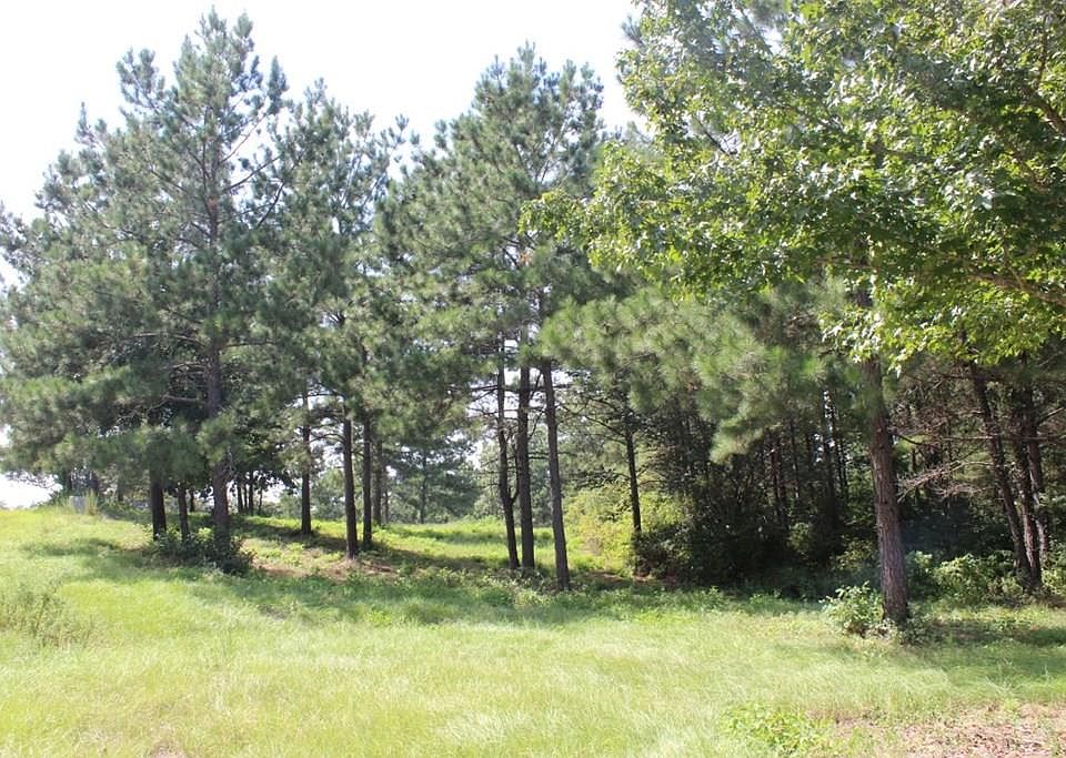 1st image of 290 County Road 173