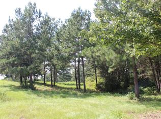 290 County Road 173, Jasper, TX 75951