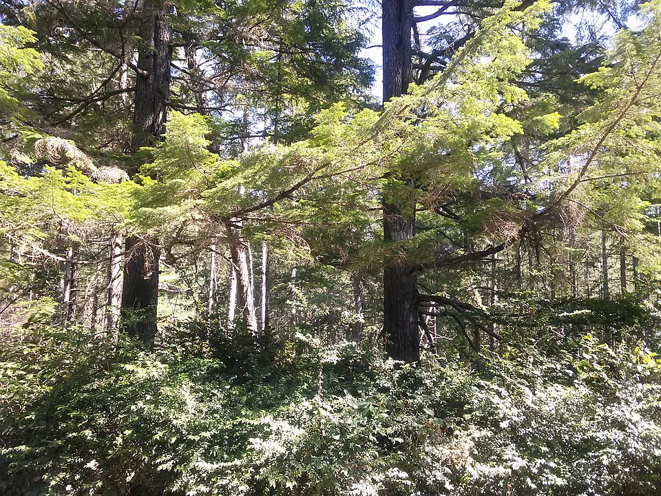 1st image of Komichan Ln NW