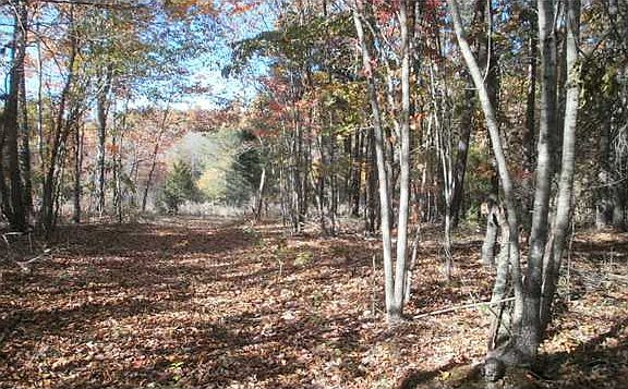 3rd image of 0 Stokes Hill Ln