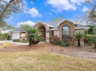 1619 Palace Ct, Valrico, FL 33594