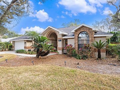 1619 Palace Ct, Valrico, FL, 33594