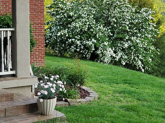 5th image of 210 Dogwood Trl