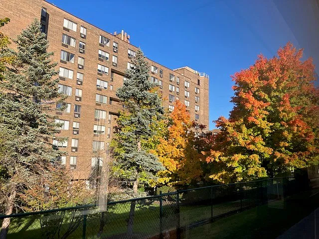 King David Independent Living — Photo 16